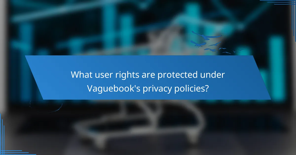 What user rights are protected under Vaguebook's privacy policies?